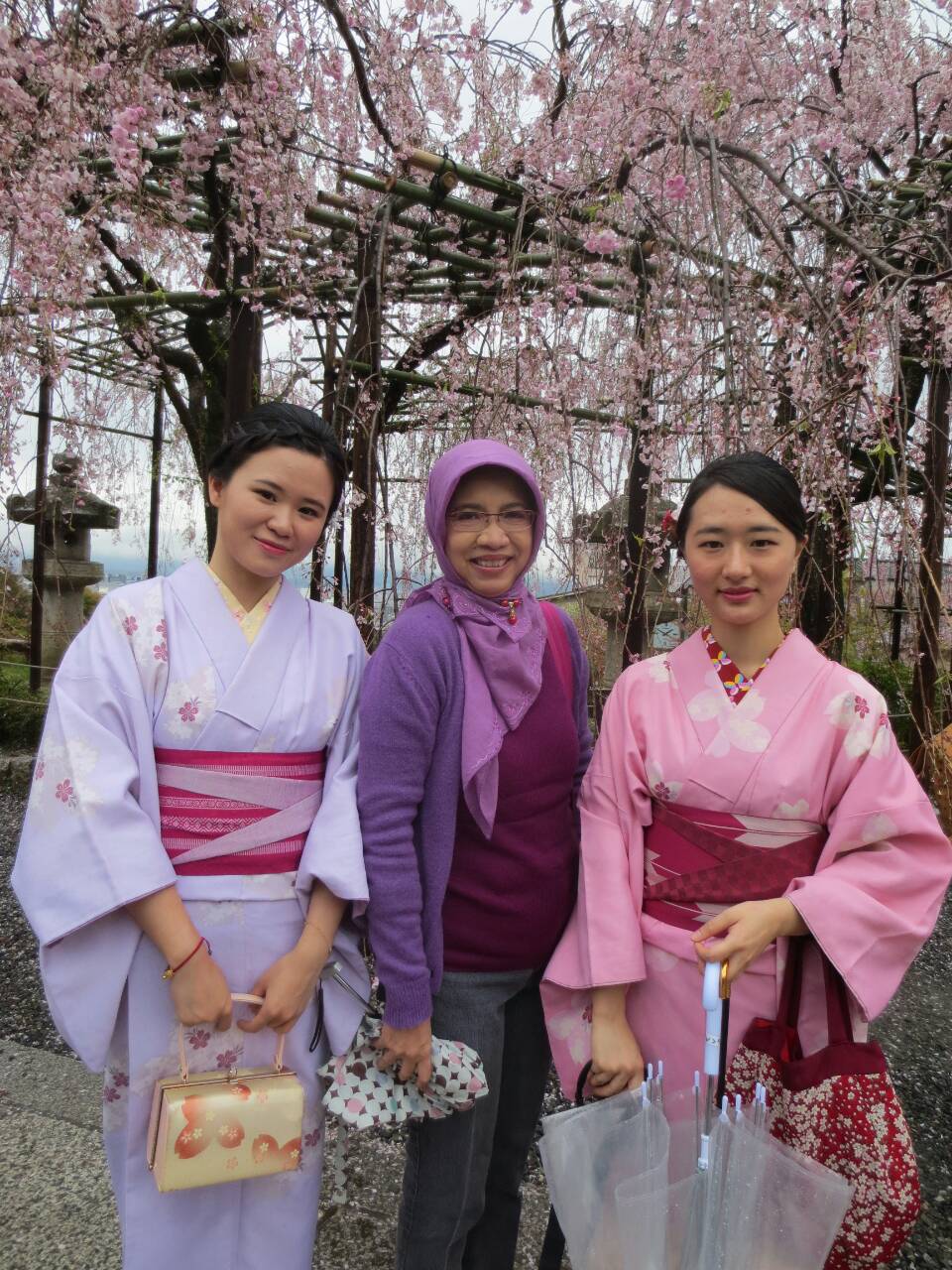 Bunga Sakura U0026 Ceri Mekar 1 Video Slideshow Pemandangan Indah